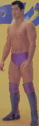 プロレス 1995 Vol.17