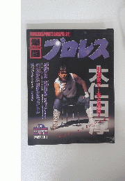 爆闘プロレス　1995年　VOL.18