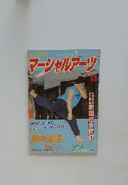 マーシャルアーツ No.13
