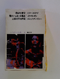 ノンフィクション全集16