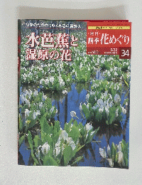 水芭蕉と 湿原の花　四季花めぐり　34　2003年5月22日号　