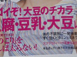 ベーグル　ベーグル 創刊2号