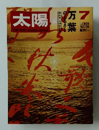 太陽7