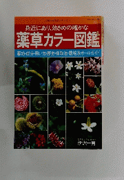 身近にあり、効きめの確かな　薬草カラー図鑑