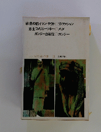 ノンフィクション全集 13
