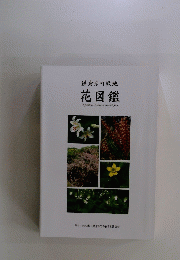 鎌倉広町緑地 花図鑑