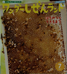 ワンダーしぜんランド　2019年7月号