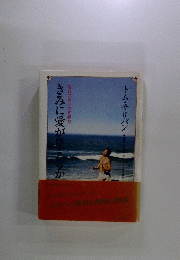 きみに愛が見えるか―盲目の歌手の青春記