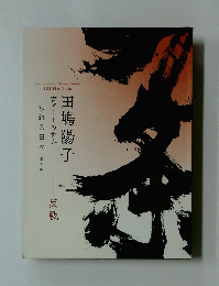Contemporary Art Calligraphy WORKS TAJIMA Yoko