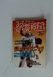 空手道　1993年7月号　Vol.206