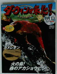 ダ-ウィンが来た！ｖｏｌ.6