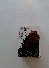 豊臣秀吉(四）