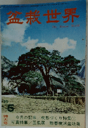 盆栽世界