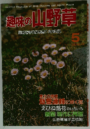 趣味の山野草　1984年5月