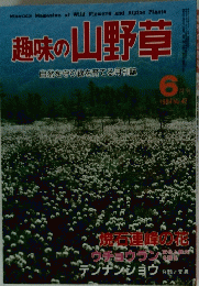 趣味の山野草　1984年6月