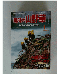 趣味の山野草　1984年1月号