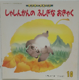 しゃしんかんの　ふしぎなおきゃく　10