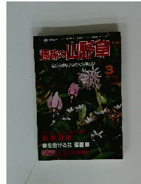 趣味の山野草　1984年3月号