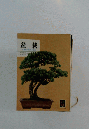 盆栽