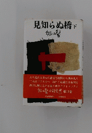 見知らぬ橋　下
