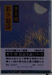 若き怒濤