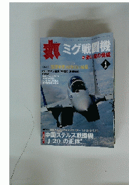 丸ミグ戦闘機　2011年4月