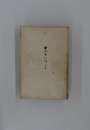 橋のない川