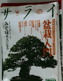サライ　2009年2月19日