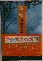 高原