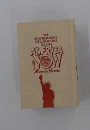 THE ANTHROPOLOGY OF A CHANGING CULTURE AMERICA NOW