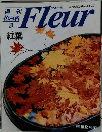 Fleur　１９９５年10月12日号