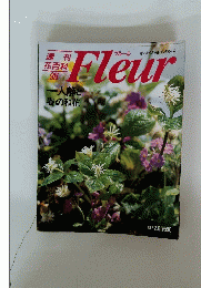 Fleur　1997年2月6日号