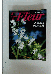 Fleur 1996年8月15日