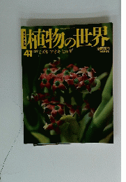 植物の世界41　1/29