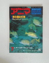 アニマ　昭和56年6月15日発行　海の魚の行動