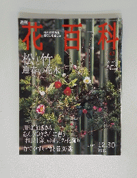 花百科　松竹迎春の花木　2004年12月30日号