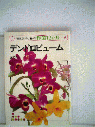 デンドロビューム