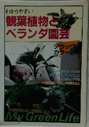 わかりやすい観葉植物ベランダ園芸