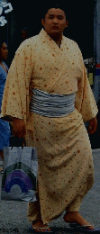 相撲界　1991 6