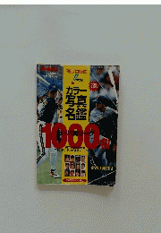 カラー写真名鑑　平成10年4月30日発行