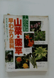 山菜・薬草