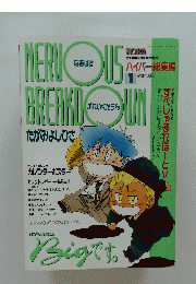 NERVOUS BREAKDAWN　1991年1月号
