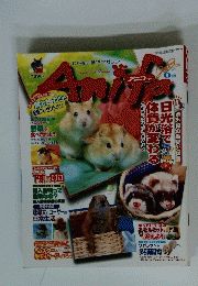 アニファ　2003年6月号