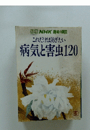 NHK趣味の園芸　これだけは防ぎたい　病気と害虫　120　