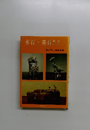 水石美石井