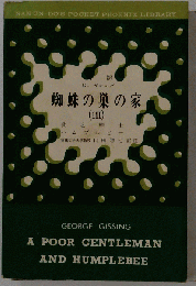 蜘蛛の巣の家 III