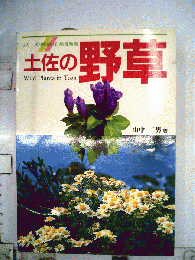 土佐の野草