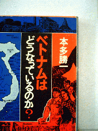 ベトナムはどうなっているのか?