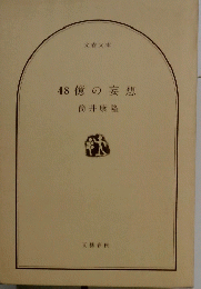 48億の妄想