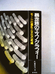 暴走族のエスノグラフィー : モードの叛乱と文化の呪縛